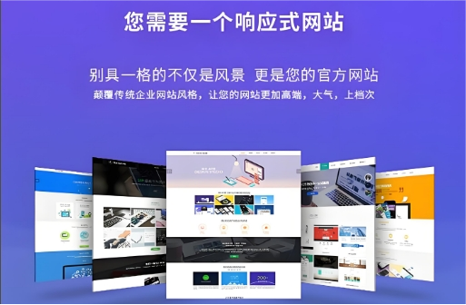 企业网站域名在一定程度上有地域性
